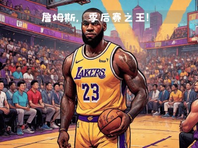 开云体育官网-詹姆斯领导湖人队在榜首迎来胜利